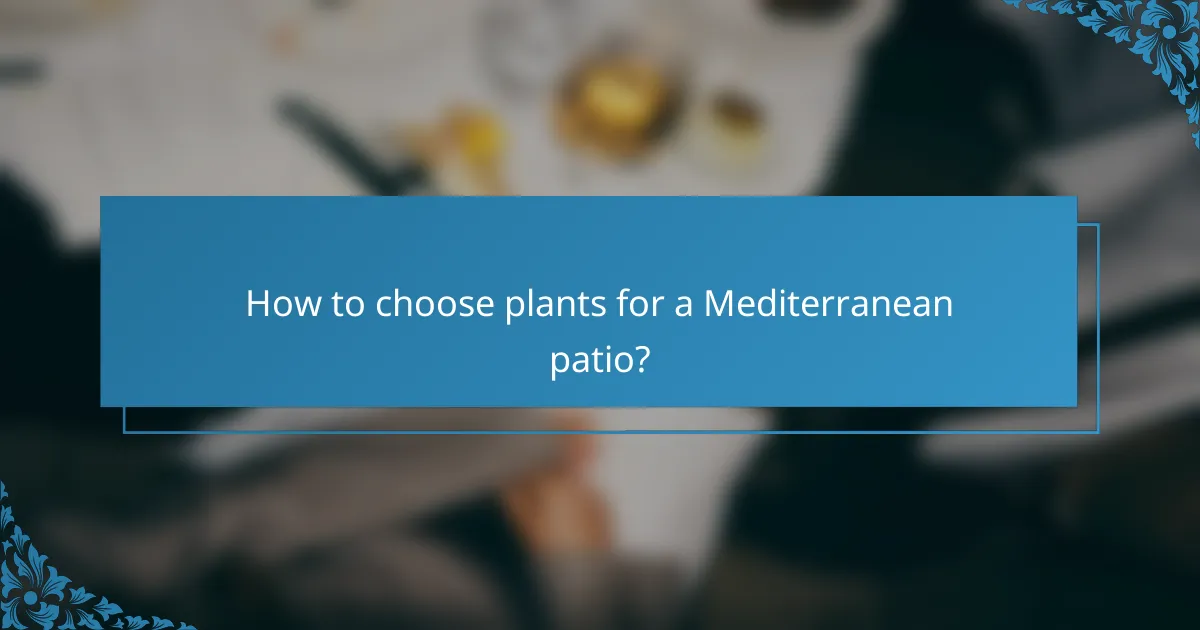 How to choose plants for a Mediterranean patio?